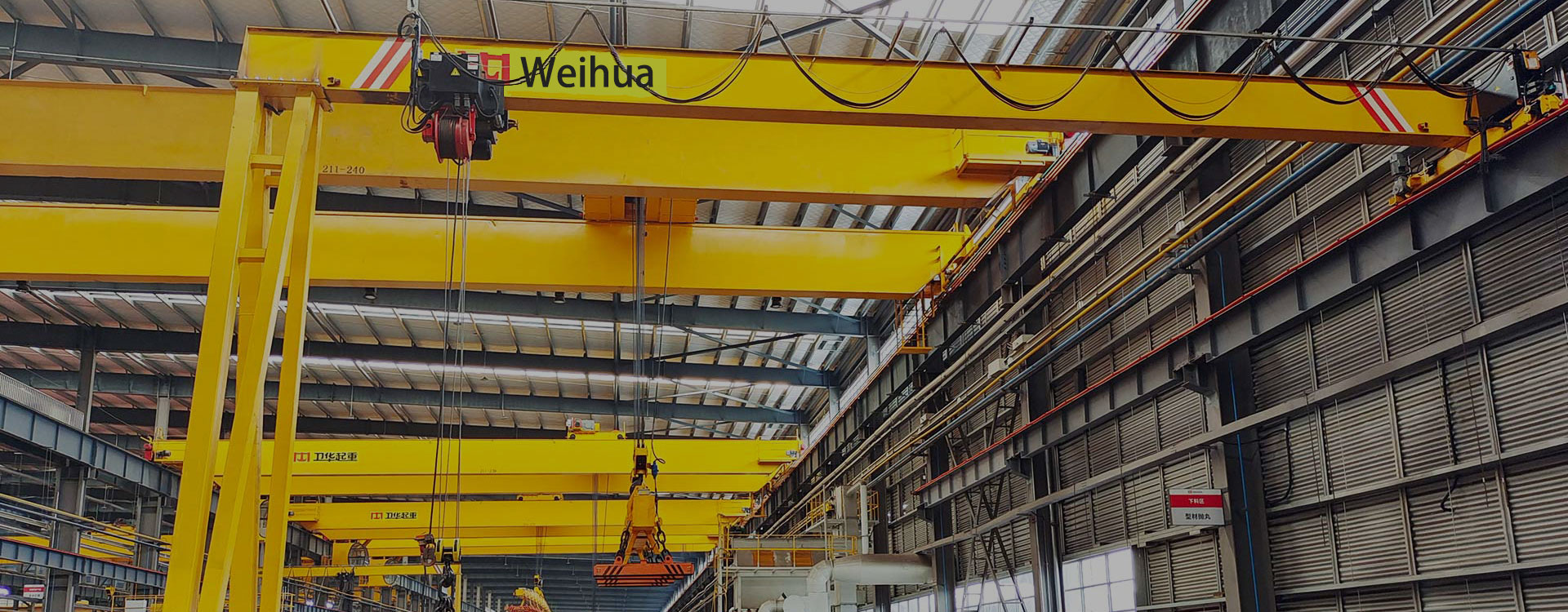 Weihua Electric Hoist