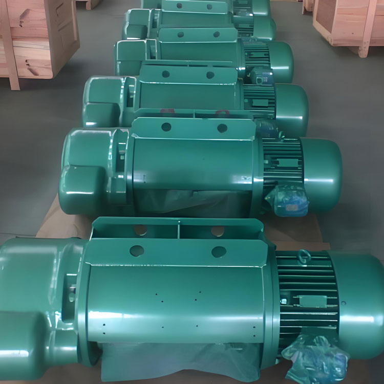 Electric cable hoist