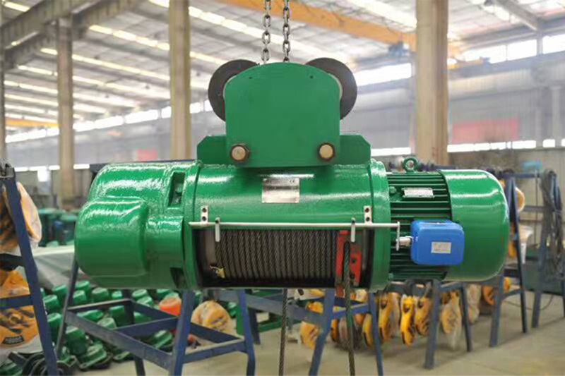 Electric hoist with overload protection device
